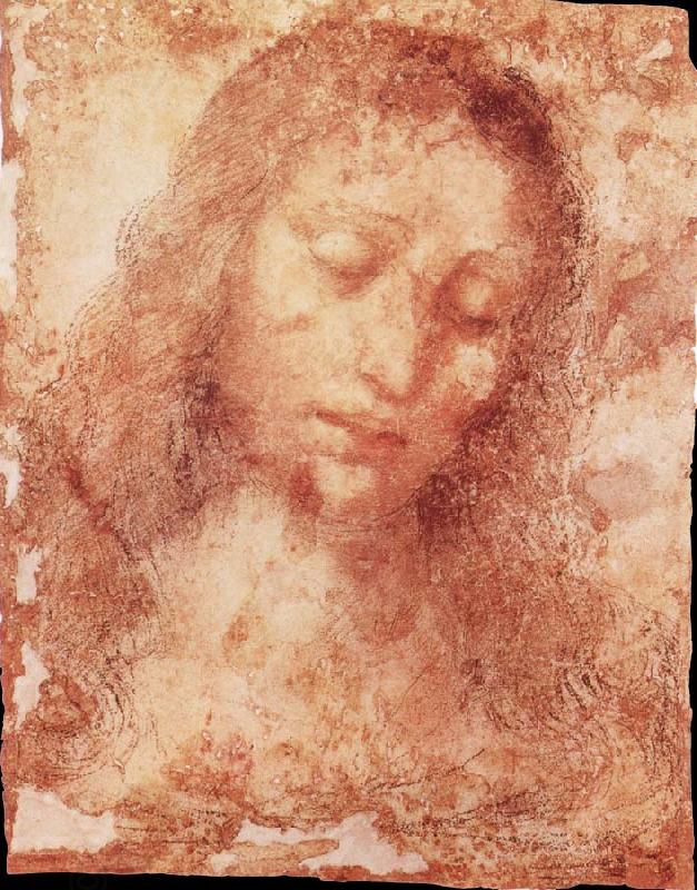 LEONARDO da Vinci Portrait oil painting picture